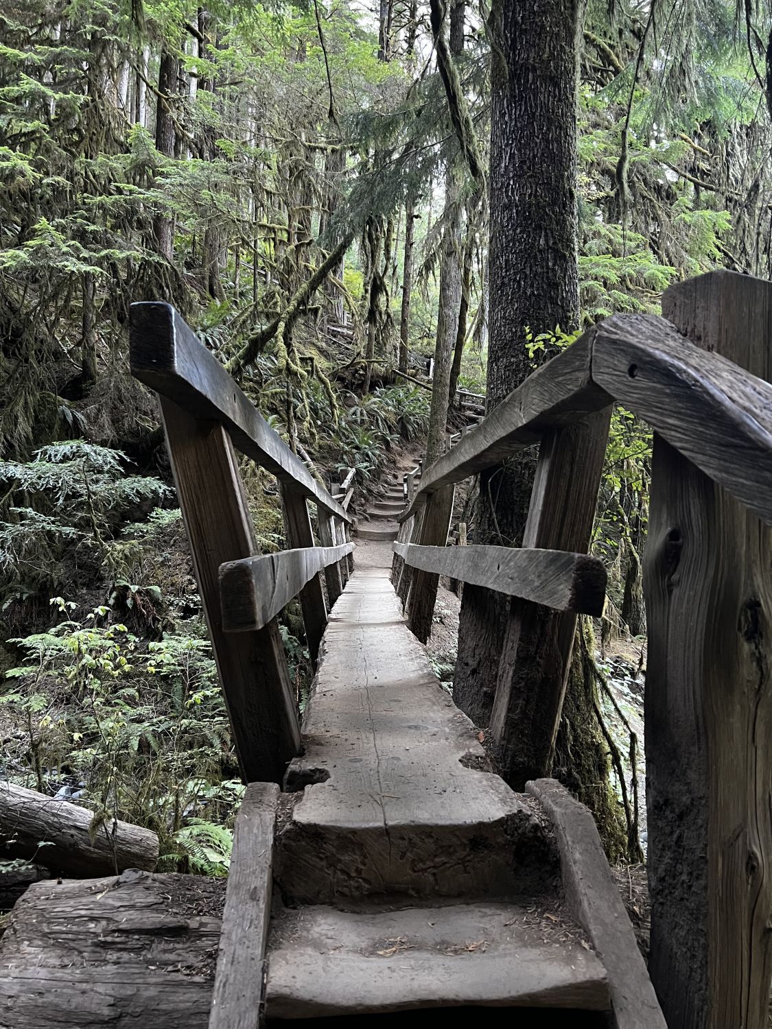 Olympic NP 